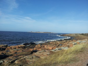 Vågorna piskar mot strandkanten.