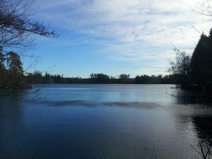 Vy över Stora Skärsjön