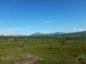 Starten på dagens lilla promenad